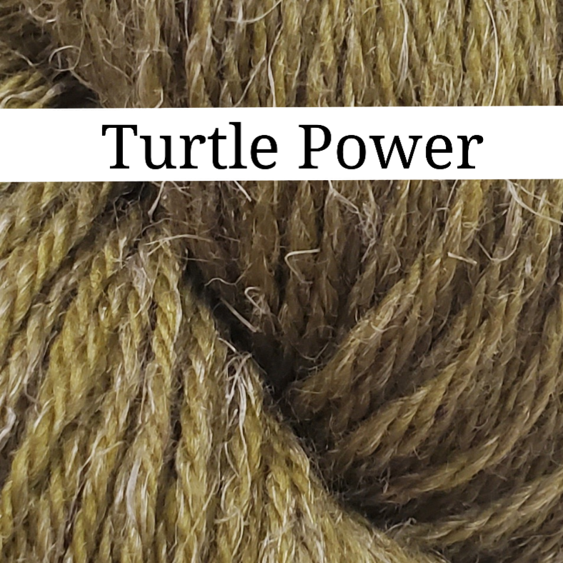 Turtle Power - Dye to Order