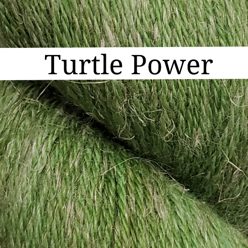 Turtle Power - Dye to Order